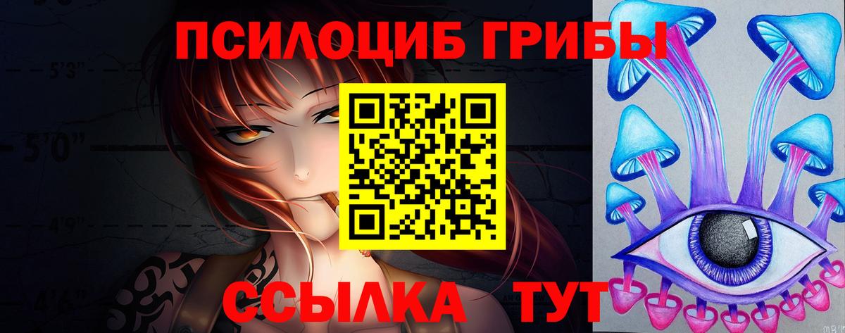 Псилоцибиновые грибы MAGIC MUSHROOMS  закладка  Иркутск  Вход с VPN  Псилоцибиновые грибы мицелий 